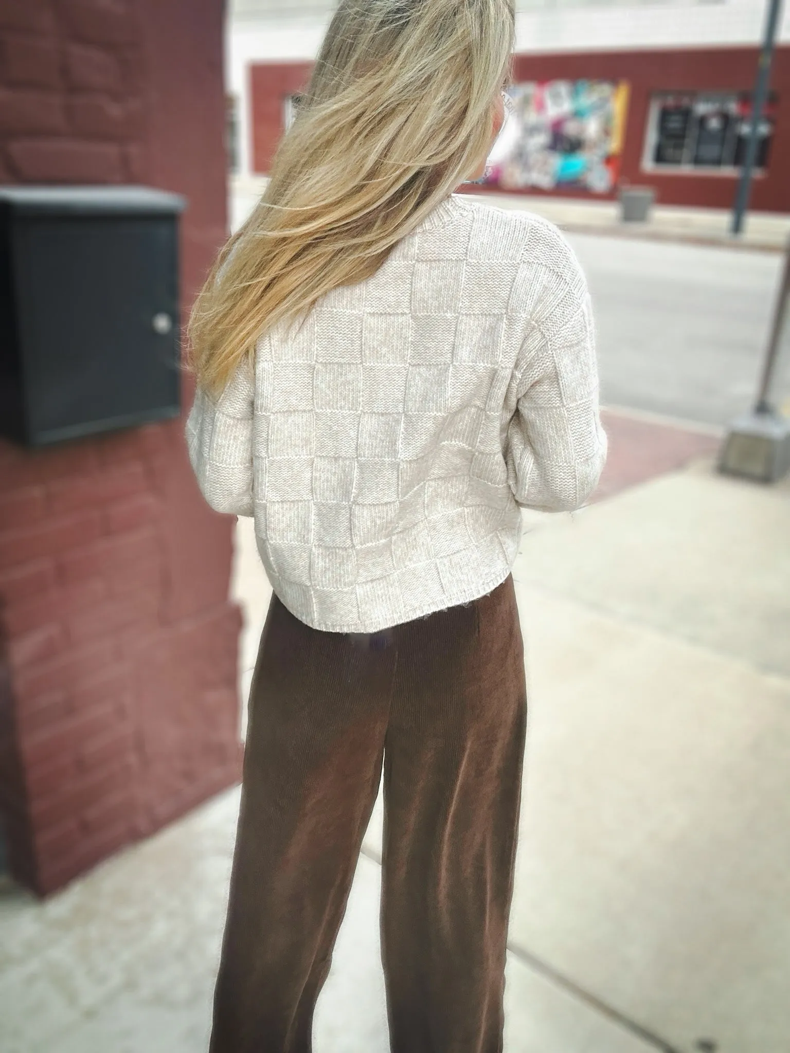 Z Supply Delilah Check Sweater